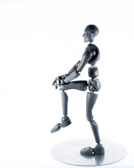 training, exercise, demonstration, puppet, physiology, posture, sports