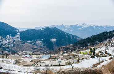 Fototapeta na wymiar Patnitop a city of Jammu and its park covered with white snow, Winter landscape 