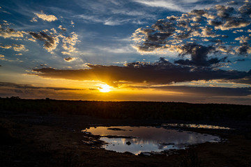 Obraz premium Sunset at Moringa Waterhole