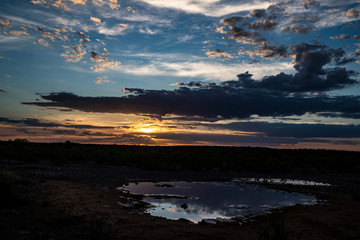 Sunset at Moringa Waterhole in Namibia Africa.