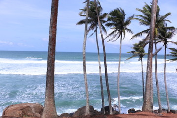 Mirissa Beach, Sri Lanka