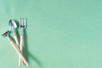 Gardening at home. Growing food in the garden, Fazenda. Shovel, rake, tools. Copyspace for text, top view. Flatlay on a green background.
