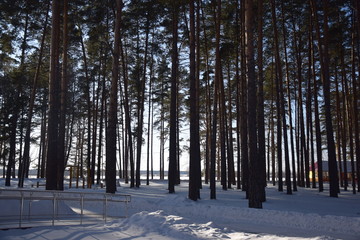 Sanatorium "Krasnaya Gvozdika", Tyumen