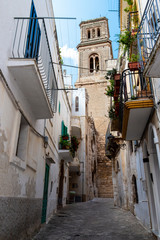 Fasano old town street view with the bell tower of the Church of San Giovanni Battista, Church of Saint John the Baptist in the background, Province of Brindisi, Apulia, Italy