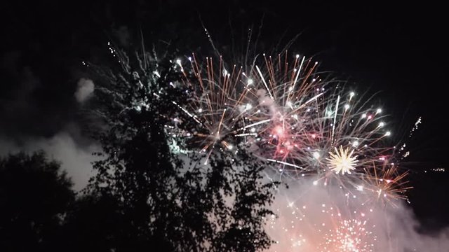 Fireworks exploding in the night sky