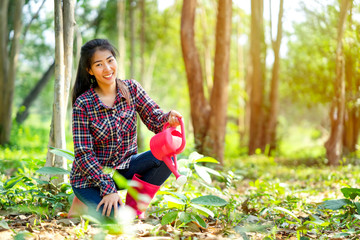 Young Asian woman take care of sapling perennial plants and water the plant in natural garden, planting the trees to assist globe for reducing global warming and greenhouse gasses
