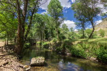 Views of the river and nature near Sepulveda (Spain)
