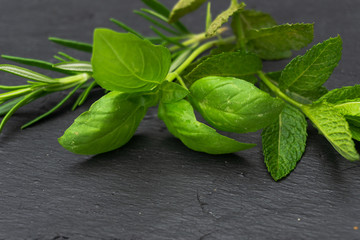 Close up image of aromatic plants, basil, mint and rosemary in a rectangular blackboard plate isolated on white.