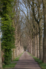 Lane at Maatschappij van Weldadigheid Frederiksoord Netherlands. 