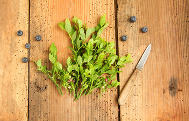 Waldheidelbeeren Waldblaubeeren Wald Heidelbeeren Blaubeeren Beeren Tisch Brett Tisch Top View