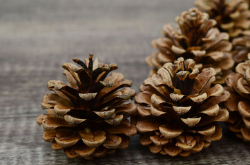 Pinecones on Rustic Wood Background