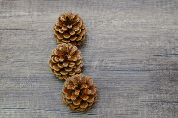 Three fresh dry pinecones flower on wooden