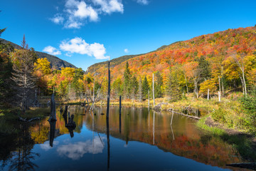 Fototapeta na wymiar View of a pond in a forested mountain landscape on a clear autumn day. Reflection in water and beautiful autumn colours. Stowe, Vt, USA.