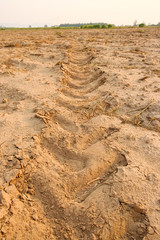 Fototapeta na wymiar Tractor tracks on the ground.Wheel marks on the soil.Sandy loam