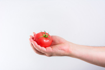 Male hand offering a red Tomato on white background. Health Concept