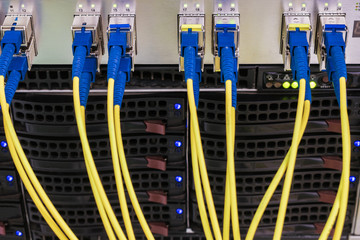 Many fiber-optic Internet wires are connected to the router modules. Yellow telecommunications...
