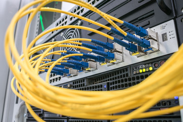 A bunch of fiber-optic Internet wires are connected to the router modules. Yellow telecommunications cable in the server room of the data center. Concept of fast broadband access to the network