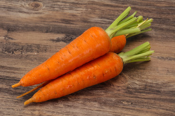 Three Young fresh ripe carrot
