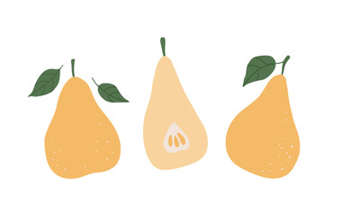 Flat cartoon pear set isolated on white background. Vector tropical fruit for print, textile, wrapping paper and decoration design. Simple vegetarian healthy food illustration. Healthy fresh nutrition