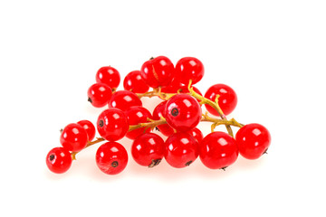 Sweet tasty fresh Red currant