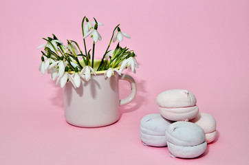Top view of pastel colored marshmallow and a cup with a snowdrops on a blue pink background. Minimalism photo for your design