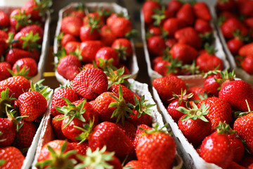 Frische Erdbeeren im Geschäft