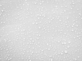 Water drops on white surface background.