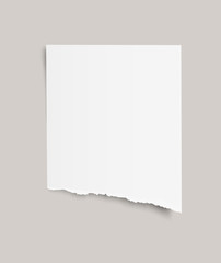Blank sheet of torn paper on transparent background.