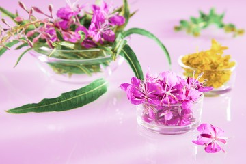 Fototapeta na wymiar Beautiful composition of fresh willow-herb and St. John's wort flowers on pink background
