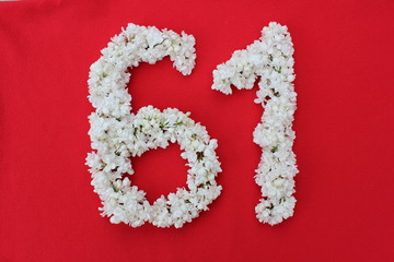 The number 61 is written in white lilac flowers on a red background. The number sixty one is...