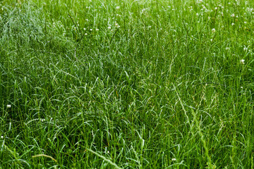 backgrounds and texture