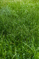 backgrounds and texture