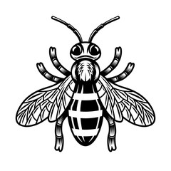 Honey bee vector illustration in monochrome style