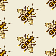 Honey bee vector colored seamless pattern