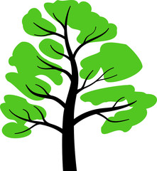 foliage tree / leaf tree