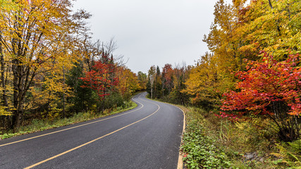 Naklejka premium autumn road in the usa