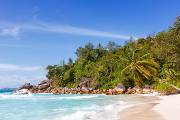 Fototapeta na wymiar Seychelles Anse Georgette beach Praslin island palm vacation sea