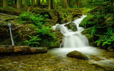 Woodland waterfall