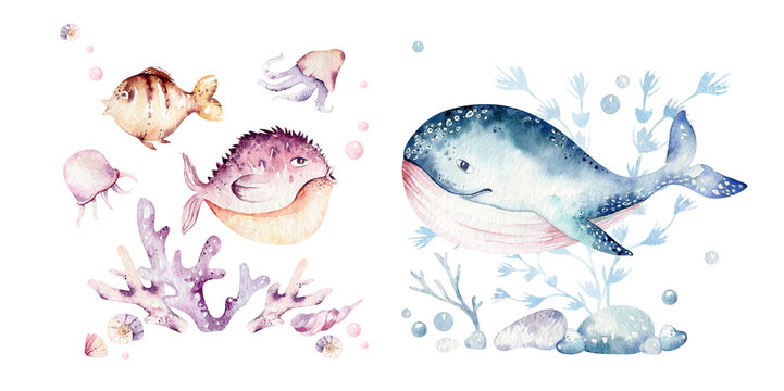 Set of sea animals. Blue watercolor ocean fish, turtle, whale and coral. Shell aquarium background. Nautical marine hand painted illustration.