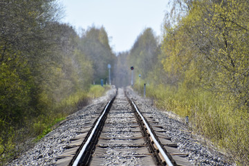 Between rails of a railroad in the forest with concrete sleepers.