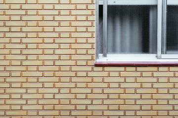 Window in a gridded facade