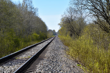 Railroad in the forest with concrete sleepers.