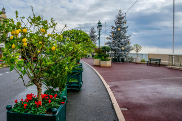 Obraz premium Street in Monaco during Christmas