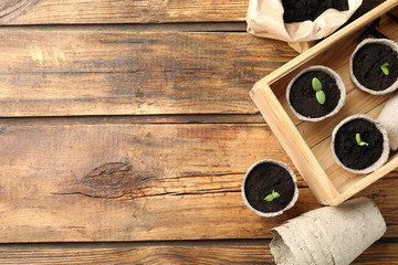 Young seedlings in peat pots on wooden table, flat lay. Space for text