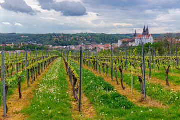 Meissen