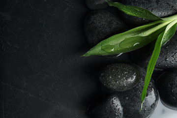 Fototapeta na wymiar Stones and bamboo sprout in water on dark background, flat lay with space for text. Zen lifestyle