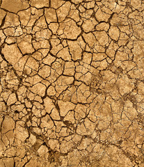 dry cracked earth