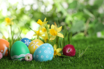 Fototapeta na wymiar Colorful Easter eggs and flowers in green grass. Space for text