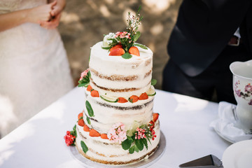Obraz na płótnie Canvas photo of a strawberry wedding cake in the garden