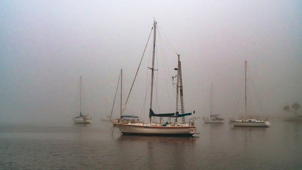 Sailboats anchored in thick grey foggy harbor in the morning